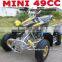 49CC MINI QUAD BIKE(MC-301A)