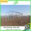 Galvanized Water Pipes Tunnel Greenhouse for Sale