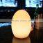 Egg Shape Rechargeable Battery LED Table Lamp