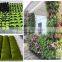 Wall vertical garden bags