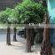 China Wholesa Decoration Tree /outdoor UV Proof Vivid Looking Bionic Barks Ornament Artificial Ficus Tree