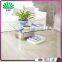 European Style Acrylic Furniture Coffee Table Plexiglass End Table With Clear Lucite Legs