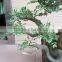 artificial ficus tree, artificial bonsai, arificial plants