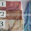 2017 hot popular woman print floral voile lady soft rayon viscose scarf shawl