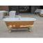 Freestanding cast iron enamel bathtubs