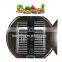 China supplier instant coffee vacuum freeze drying equipment tea leaf freeze dryer