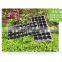 black plastic cell seeding and nursery seed sprouter tray