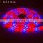 led grow light full spectrum strip 60 leds/m LED  Phyto tape for Seed plants flowers greenhouse