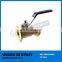 Female connected brass quarter turn hose end valve