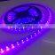 Shenzhen High Quality 5050 Led Flexible Strip Epistar 400nm uv Led Strip 5m/roll With 3 Years Warranty