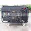 BISON(CHINA)Air Cooled 2 Cylinder Battery Powered Diesel Generator 10kw