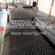 Ground Production Mats Natural Paving Matting Plastic Mud Mat for Russia