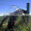 barbed iron wire