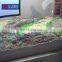Geography definitions branches of physical 3d contour topographic architectural model