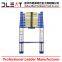 Dleat 3.2m Single Aluminum Telescopic Ladder With EN131