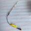 FPT IVECO CASE Cursor9Bus Euro 6 F2CFE612D*J231/F2CFE612A*J098  5802748674  SENSOR OIL LEVEL 5801670837