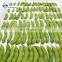 HACCP KOSHER Certified IQF Soybeans Shelled Bulk Frozen Organic Edamame
