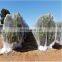 100% Virgin HDPE  Apple Tree Plastic Anti Hail Net For Agriculture