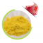 GMP Factory Best Price Natural Natto Source Vitamin K2 MK-7 in Bulk