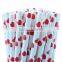 The most popular red heart high quality paper straws