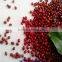 new crop azuki beans(heilongjiang)