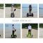 CE approved very cheap sales two wheel electric scooter for elderly