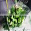 Alibaba china oriental lily flower wholesale fresh cut flowers