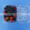 High Quality Clamshell Blister Plastic packaging container for berry 1500gram