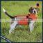 Convenience Hunting Dog Safety Vests