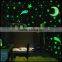 Wholesale 100pcs 3D Stars Glow In The Dark Luminous Fluorescent Wall Stickers Kids Bedroom
