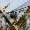 CE stainless steel zoo mesh/bird netting/animal enclosure