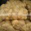 crop patato new season potato good quality potato
