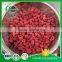 Freeze Dried Raspberry With Low Price