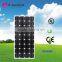 Plant solar panels 220w