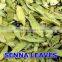 Senna Leaves