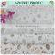 Fashion 53/54'' schiffli polyester white embroidery chemical lace fabric for ladies tops