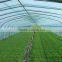 Hot sale greenhouse film for food