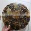 natural ammonite fossil round slice for placemat