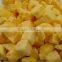 We are supply FD frozen dried mango for sale
