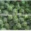 Supply IQF Spinach Ball with good quality for sale