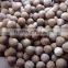 FULL HUSKED COCONUT / SEMI HUSKED COCONUT- QQ : 2290755420