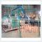 PU Shoes Making Machine Price
