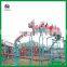 Amusement Park Kidde Rides dragon Roller Coaster