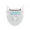 Portable Mini Blue Led teeth whitening light with tray for teeth whitening kit