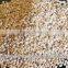 Hulled Sesame Seeds From India