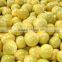 New crop honey pomelo names fruits arabic