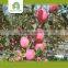 price of china fuji apple fuji apples from jining greenfarm sweet red fresh apple