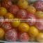 Fresh Style and Yellow Color Navel Oranges for sale Valencia distributor