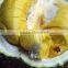 Frozen Mongthong durian whole