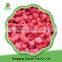 China 2016 new crop IQF frozen red raspberry for export